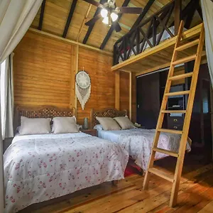 Alicat , Tulum Mexico